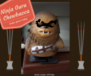 Guru Ninja Chewbacca 